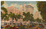 Palms on Biscayne Blvd Miami Florida p26629