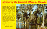 Legend Of The Spanish Moss in Florida p27107
