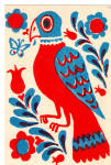 Carolina Parrot a Favorite Dutch Fraktur Design Postcard p27597