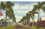 Royal Palms Ft Myers Beach Road Florida p28524