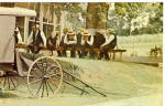 Amish Men at Sunday Meeting POstcard p28577