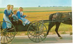 Amish Girls with Horse Drawn Open Buggy p28586
