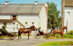 Amish Boys in Horse Drawn Buggy at Farm p28624