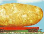 Large Potato on a Railroad Car Postcard p31038