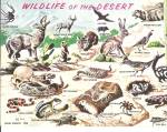 Wildlife of the Desert Postcard p31119