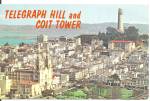 San Francisco CA Telegraph Hill and Coit Tower p31342