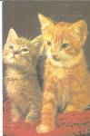 Pair of Tabby Cats Postcard p31836