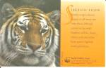 Siberian Tiger Postcard p36721