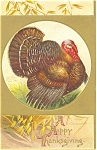 Clapsaddle Thanksgiving Turkey Postcard p4028