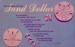 Legend of the Sand Dollar Postcard P40743