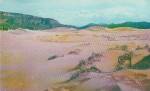 Southern Sand Dunes in Utah Postcard P41116