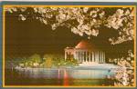 Washington DC Jefferson Memorial Cherry Bloosoms  Postcard P41183