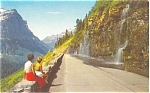 Weeping Wall Glacier National Park MT Postcard p4132