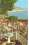 Laguna Beach CA Postcard p4347
