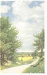Country Road  Scene Postcard p4645