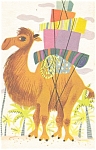 Little Golden  Postcard Camel p4735