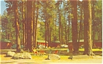 Lassen National Park CA Postcard p4785