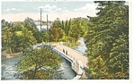 Luna Island Bridge Niagara Falls NY Postcard p8279