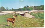 PA Turnpike Howard Johnson Postcard p8490