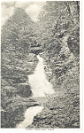 Upper Buck Hill Falls PA Postcard p8971
