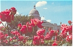 Arkansas State Capitol Postcard w0785