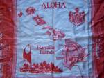 Aloha From Hawaii Our 50th State Scarf
