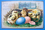 Loving Easter Greetings Postcard By Tuck's (4 Chicks)