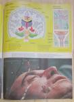 Click to view larger image of Time Magazine-January 14, 1974-Inside The Brain  (Image4)