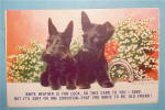 Click to view larger image of Two Terriers Floral Postcard (Image2)