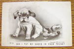 Click to view larger image of Puppy Chewing On A Pair Of Shoes Postcard (Image2)