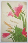 Pink Flowers And Green Leafs Postcard
