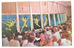 Click to view larger image of Weeki Wachee Visitors View Florida Mermaids Postcard (Image1)