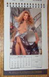 Click to view larger image of Playboy Playmate Desk Calendar (1991) Pamela Anderson (Image5)