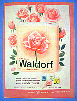 1965 Waldorf Toilet Tissue With Soft Pink Toilet Tissue