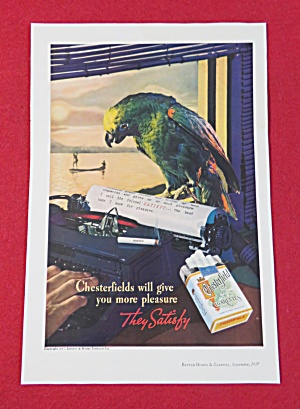 1937 Chesterfield Cigarettes With Parrot Reading Letter