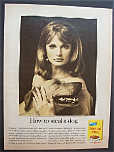 1966 Friskies Dog Mix With Woman Petting A Dog