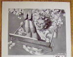 Click to view larger image of 1934 Kellogg's Corn Flakes Cereal with Girl On A Swing (Image3)
