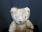 Click to view larger image of Gorham Bear Marigold Maybear bear of the month (Image2)