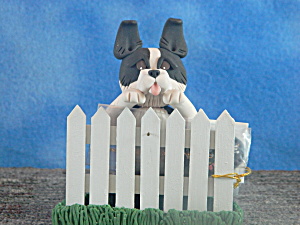 Cecile Border Collie behind fence with Welcome sign  (Image1)