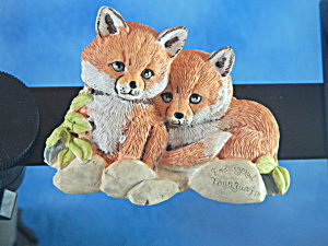 Endangered Youngins Foxes Magnet