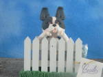 Click to view larger image of Cecile Border Collie behind fence with Welcome sign  (Image2)