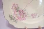 Click to view larger image of Homer Laughlin Wild Rose Pattern Plate (Image2)