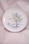 Japanese Hand Painted China Collector Plate