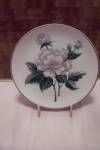 Occupied Japan Hand Painted White Flower Plate