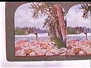 Stereo View - Trout Fishing In The Rapids