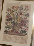 Click to view larger image of Framed Reproduction of October Calendar Floral Print (Image2)