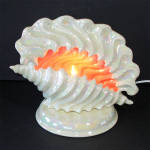 Click to view larger image of Pink White Ceramic Sea Shell TV Table Lamp (Image2)