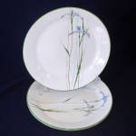 Click here to enlarge image and see more about item 16415: Corelle Shadow Iris Dinner Plates Set of Four
