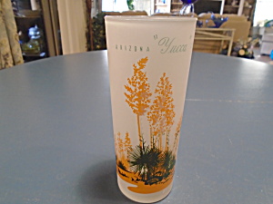 Blakely Frosted Arizona Iced Tea Glasses Yucca Cactus