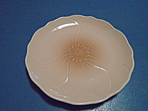 Mikasa Amaryllis Dinner Plates